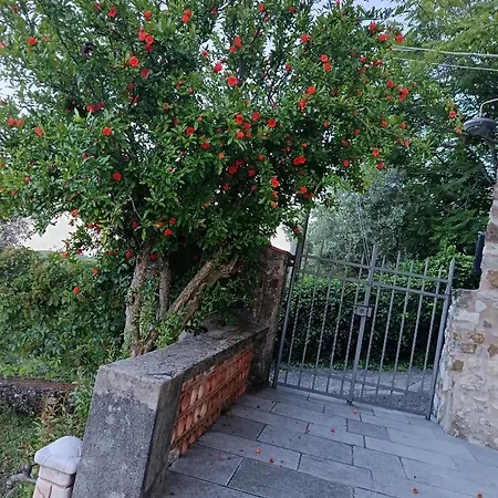 Ca' Toni D'sovra Сasa de vacaciones *